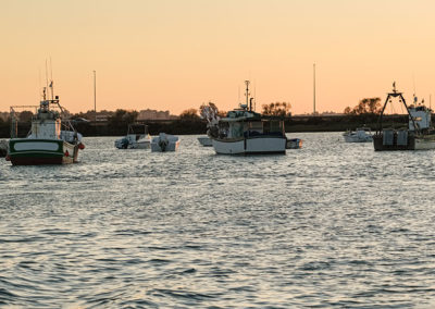 Flota de barcos Isla Cristina | Excursiones Marítimas Isleñas