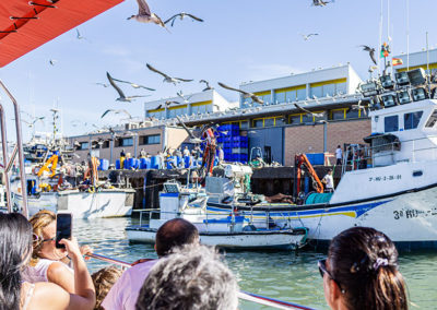 Lonja de pescado | Excursiones Marítimas Isleñas | Emai