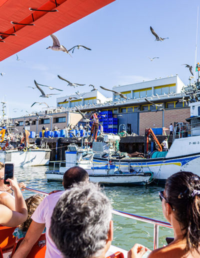 Lonja de pescado | Excursiones Marítimas Isleñas | Emai