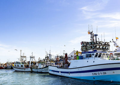 Lonja de Isla Cristina | Excursiones en barco | Emai