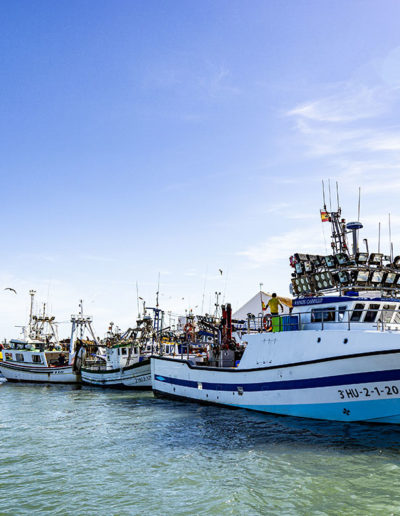 Lonja de Isla Cristina | Excursiones en barco | Emai