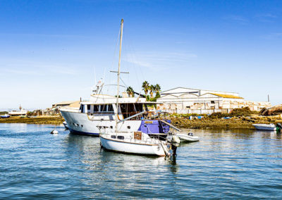 Pesca deportiva Isla Cristina | EMAI