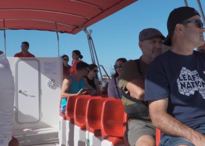 Paseos en barco 2025 | Isla Cristina