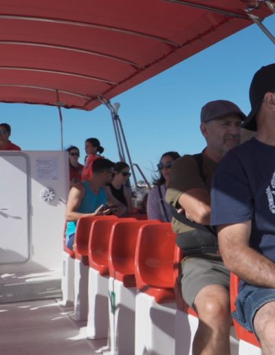 Paseos en barco 2025 | Isla Cristina