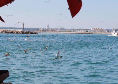 Naturaleza y tradición | Isla Cristina | Emai