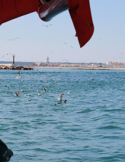 Naturaleza y tradición | Isla Cristina | Emai